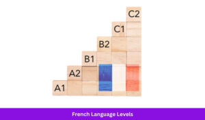 image of wooden blocks showing french language levels